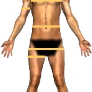 body-measure body-measure